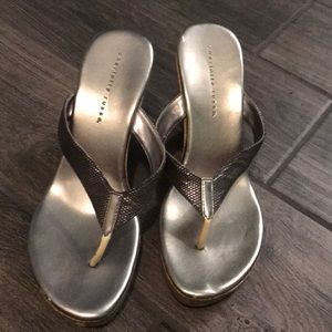 Charlotte Russe silver wedges